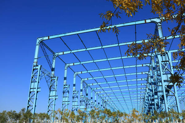 <b>脚手架工程技术支持与检测服务（型号TS-09）</b>