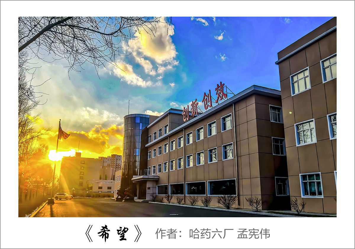 【迎国庆 展风采】我眼中的云顶国际——职工摄影大赛作品展示！
